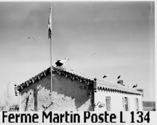 1959 - ferme Martin - Bt.  principal