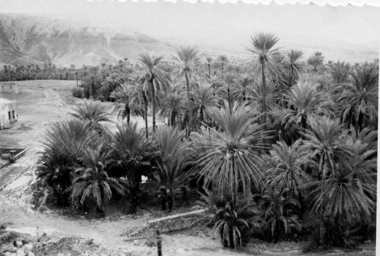 1959 - Opération El oujda