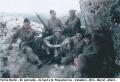 Ferme Martin - protection de convoi - 32