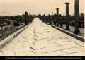 Timgad